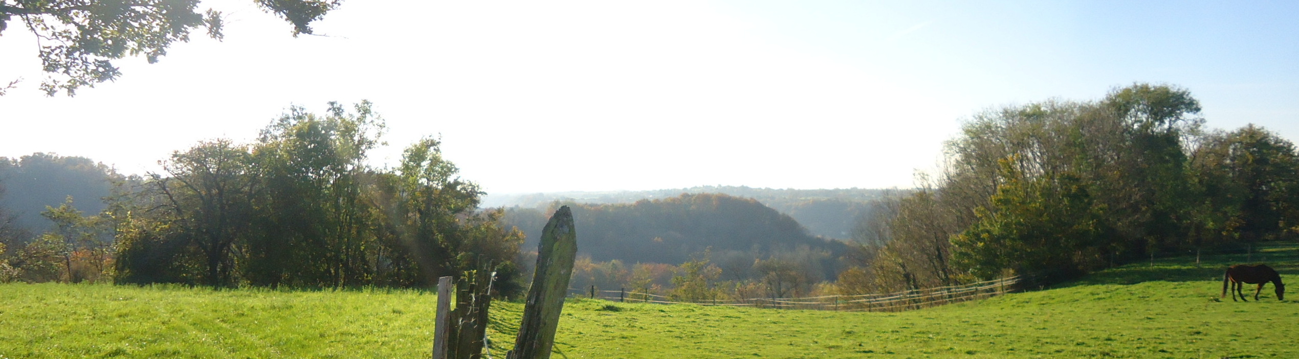La vue qui porte au loin symbolise l'ouverture de conscience